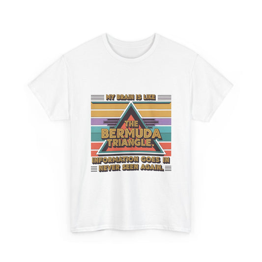 My Brain is Like the Bermuda Triangle - Information Goes in Never Seen Again